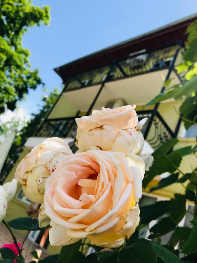 Vila Yzabelle Западен Ефорие Екстериор снимка